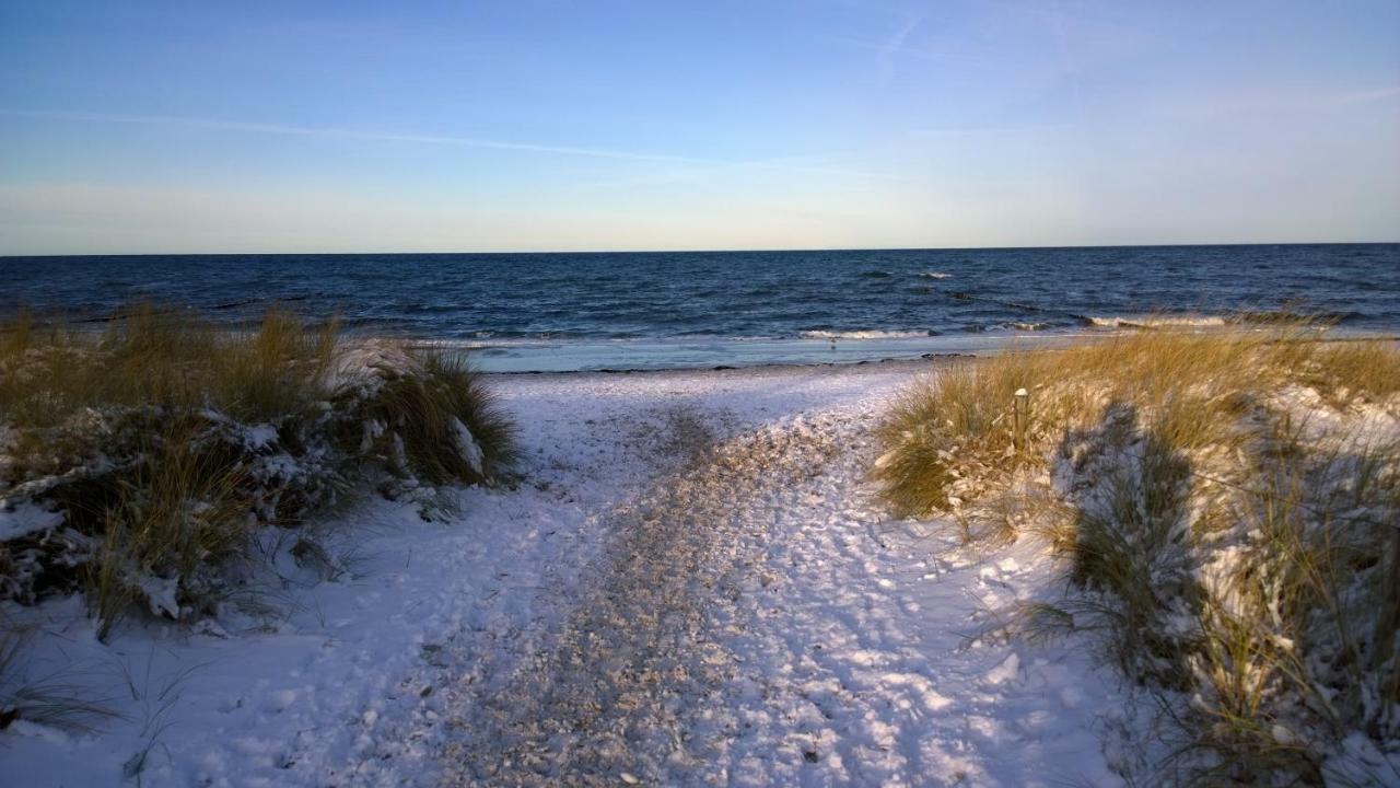 Fewo Himmel& Meer - Nur 300M Vom Meer Ostseebad Kühlungsborn Eksteriør billede